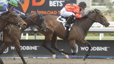 Esta es la yoqueta que gana más carreras en Norteamérica como aprendiz en 2023 Esta es la yoqueta que gana más carreras en Norteamérica como aprendiz en 2023