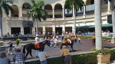 Asi quedaron los resultados en Gulfstream Park 07-01-2024