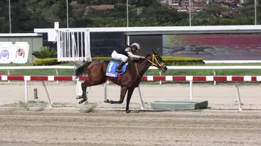 Conoce al primer producto de esta campeona dosañera de La Rinconada Conoce al primer producto de esta campeona dosañera de La Rinconada