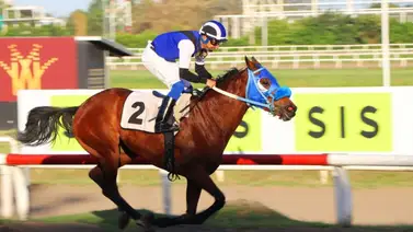 El Clásico Año Nuevo 2024 en Panamá se corrió este domingo y este fue el resultado El Clásico Año Nuevo 2024 en Panamá se corrió este domingo y este fue el resultado