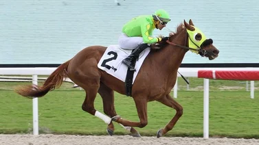 Leonel Reyes gana la primera del año con el mejor dividendo de este domingo en Gulfstream Park