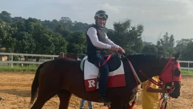 Estas son las montas que tenia firmada Ángel Alciro Castillo para esta semana en Parx Racing