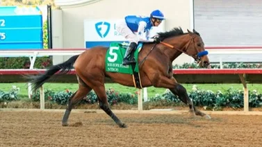 Así trabajaron esta semana 10 potros que están en la ruta al Kentucky Derby en Estados Unidos