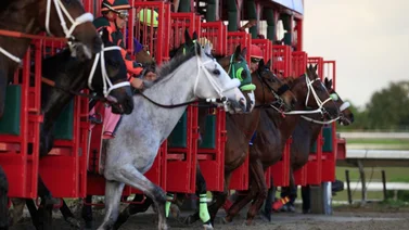 Jockey puertorriqueño muere en accidente automovilístico
