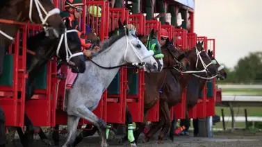 Jockey puertorriqueño muere en accidente automovilístico Jockey puertorriqueño muere en accidente automovilístico
