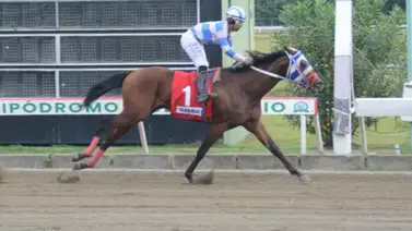 Glorioso B. gana sin problemas el Clásico Año Nuevo en República Dominicana Glorioso B. gana sin problemas el Clásico Año Nuevo en República Dominicana