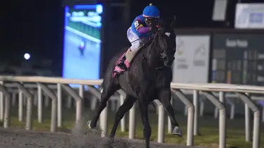 Entérate aquí por qué es incierto el futuro del ganador del Gran Premio José Pedro Ramírez Entérate aquí por qué es incierto el futuro del ganador del Gran Premio José Pedro Ramírez