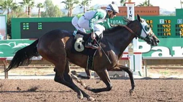 Jockey venezolano es líder por victorias en este hipódromo de Estados Unidos