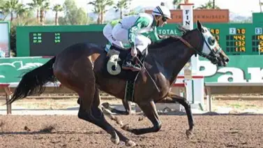 Jockey venezolano es líder por victorias en este hipódromo de Estados Unidos Jockey venezolano es líder por victorias en este hipódromo de Estados Unidos