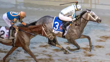 Esta pudiera ser la carrera de regreso de Saudi Crown Esta pudiera ser la carrera de regreso de Saudi Crown