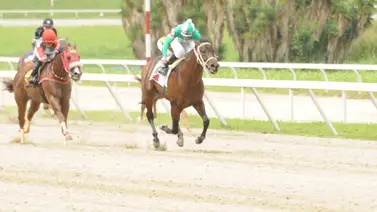 Ejemplar que tiene 427 días sin correr vuelve a la pista de La Rinconada Ejemplar que tiene 427 días sin correr vuelve a la pista de La Rinconada