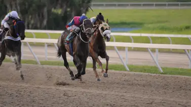 Jaime Lugo monta a este ejemplar que tiene 196 días sin correr en La Rinconada Jaime Lugo monta a este ejemplar que tiene 196 días sin correr en La Rinconada
