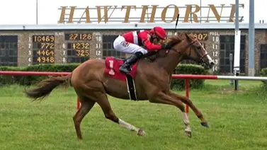 Caballo ganador clásico de Grado 1en Estados Unidos es sacrificado por esta razón Caballo ganador clásico de Grado 1en Estados Unidos es sacrificado por esta razón