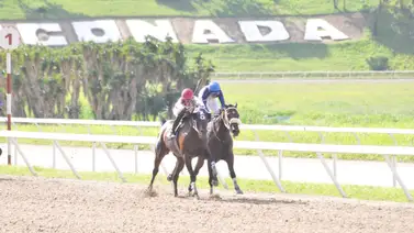 Ramón García Mosquera reaparece a este nieto de Vacation que tiene 189 días sin correr en La Rinconada Ramón García Mosquera reaparece a este nieto de Vacation que tiene 189 días sin correr en La Rinconada