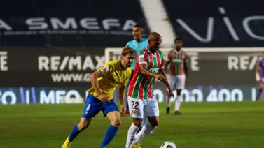 Partido de la Liga de Portugal tuvo que ser interrumpido por este insólito animal (+Video)