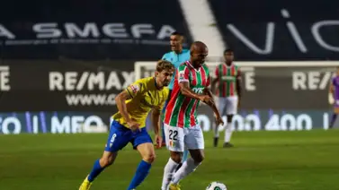 Partido de la Liga de Portugal tuvo que ser interrumpido por este insólito animal (+Video) Partido de la Liga de Portugal tuvo que ser interrumpido por este insólito animal (+Video)