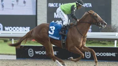 Dos yeguas madres baten récord de cinco años en las ventas de Keeneland