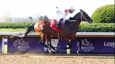 Nace el primer hijo de este impresionante sprinter en Estados Unidos