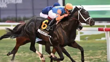 Mira la cantidad de montas que tendrá Irad Ortiz Jr. esta semana en Gulfstream Park Mira la cantidad de montas que tendrá Irad Ortiz Jr. esta semana en Gulfstream Park