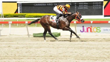 Retorna a la pista después de 161 días sin correr hijo de semental que ha dado varios ganadores clásicos