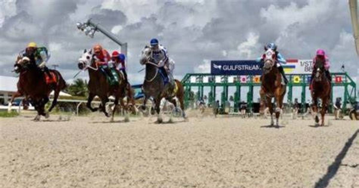 Aquí el fijo y los datos para jugar el Pick Six de Gulfstream Park 10