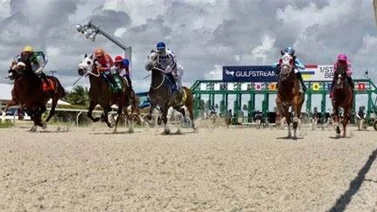 Aquí el fijo y los datos para jugar el Pick Six de Gulfstream Park 10-01-2024