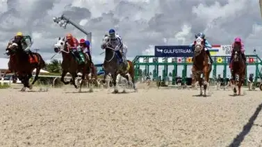 Aquí el fijo y los datos para jugar el Pick Six de Gulfstream Park 10-01-2024 Aquí el fijo y los datos para jugar el Pick Six de Gulfstream Park 10-01-2024