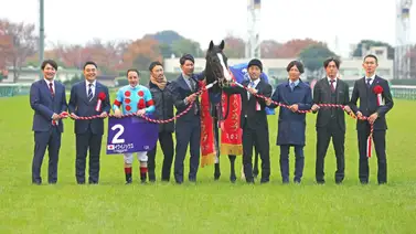 Equinox es nombrado Caballo del Año en Japón y mira el récord que implanta Equinox es nombrado Caballo del Año en Japón y mira el récord que implanta