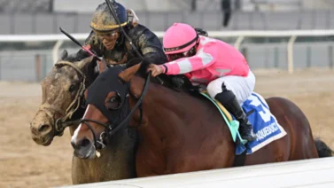 El hermano completo de Mage pudiera participar en estos stakes que se acercan