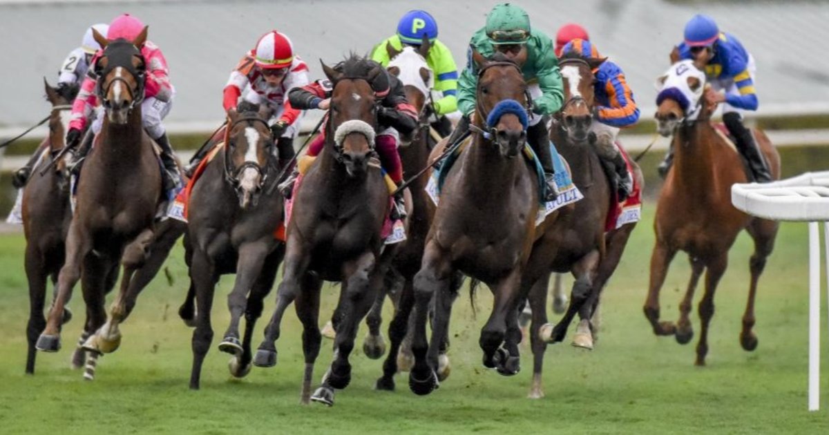 Estos serán los stakes que se disputarán el día del Pegasus World Cup