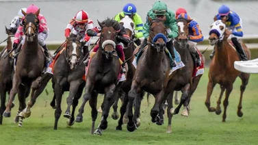 Estos serán los stakes que se disputarán el día del Pegasus World Cup