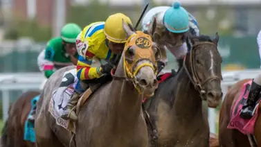 Conoce los cinco potros en la ruta al Derby de Kentucky que destacaron en traqueos esta semana Conoce los cinco potros en la ruta al Derby de Kentucky que destacaron en traqueos esta semana