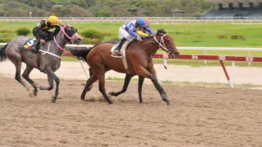 Esta es la monta que le gusta a Rafael Solano para el domingo en La Rinconada
