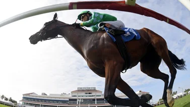 Entérate de las victorias que logran los jockeys puertorriqueños el miércoles en Estados Unidos