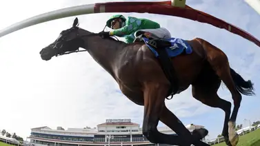 Entérate de las victorias que logran los jockeys puertorriqueños el miércoles en Estados Unidos Entérate de las victorias que logran los jockeys puertorriqueños el miércoles en Estados Unidos