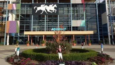 Aquí el fijo y los datos para jugar el Pick Six Aqueduct 11-01-2024 Aquí el fijo y los datos para jugar el Pick Six Aqueduct 11-01-2024