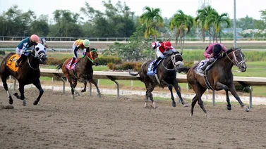 Las estadísticas en el Hipódromo Camarero marchan de esta forma