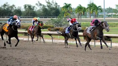 Las estadísticas en el Hipódromo Camarero marchan de esta forma Las estadísticas en el Hipódromo Camarero marchan de esta forma