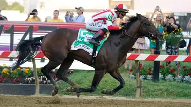 Este ganador del Preakness Stakes se recupera y volverá a ser semental Este ganador del Preakness Stakes se recupera y volverá a ser semental