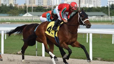 Paco López mantiene la ventaja en la estadística del Championship Meet