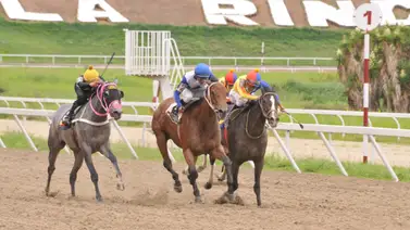 Así fue el ajuste de la favorita de Gaceta Hípica de la primera reunión en La Rinconada Así fue el ajuste de la favorita de Gaceta Hípica de la primera reunión en La Rinconada