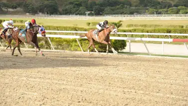 Así ajusta Sarasarita de cara a la carrera del domingo con Ángel Castillo en la conducción Así ajusta Sarasarita de cara a la carrera del domingo con Ángel Castillo en la conducción