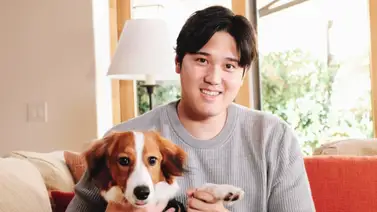MLB: Perro de Shohei Ohtani lo podrá acompañar en Los Ángeles (+Detalles) MLB: Perro de Shohei Ohtani lo podrá acompañar en Los Ángeles (+Detalles)