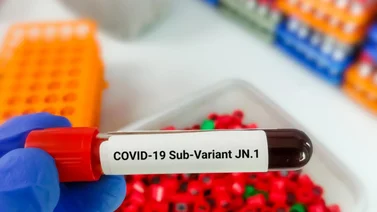 ¿Vuelve la pandemia? Auge de la subvariante JN.1 en varios países (+Video)