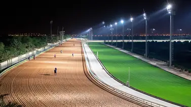 Mira la cantidad de nominados que hay para la carrera más rica del mundo Mira la cantidad de nominados que hay para la carrera más rica del mundo