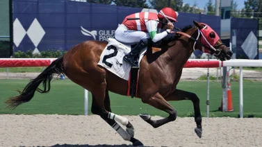 Dupla venezolana abre con victoria la jornada de este jueves en Gulfstream Park