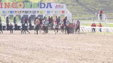 Este caballo que corre en el 5y6 de La Rinconada ha trabajado para ganar Este caballo que corre en el 5y6 de La Rinconada ha trabajado para ganar