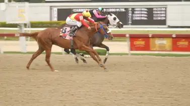 Así fue el ajuste de la línea de Gaceta Hípica de la primera reunión del año en La Rinconada Así fue el ajuste de la línea de Gaceta Hípica de la primera reunión del año en La Rinconada