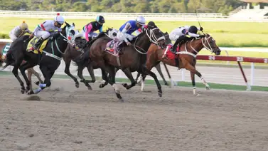 Este fue el ajuste de la linea de Johan Aranguren para el domingo en La Rinconada Este fue el ajuste de la linea de Johan Aranguren para el domingo en La Rinconada