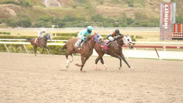 Conoce el ajuste del favorito que puede abrir la Triple Apuesta del domingo en La Rinconada